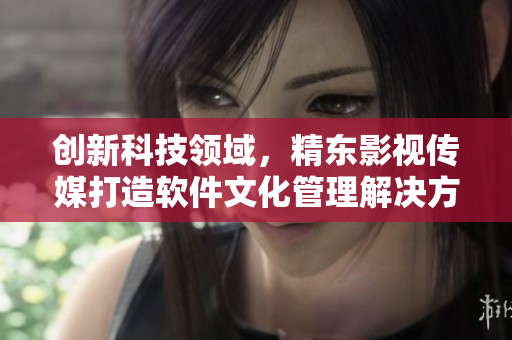 創(chuàng)新科技領域，精東影視傳媒打造軟件文化管理解決方案