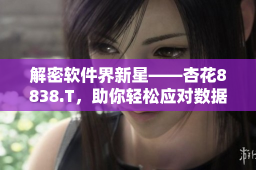 解密軟件界新星——杏花8838.T，助你輕松應(yīng)對(duì)數(shù)據(jù)加解密