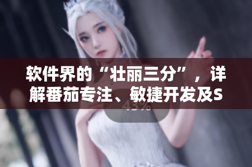 軟件界的“壯麗三分”，詳解番茄專注、敏捷開發(fā)及Scrum管理法