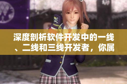 深度剖析軟件開發(fā)中的一線、二線和三線開發(fā)者，你屬于哪類
