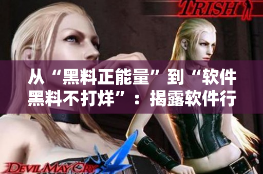 從“黑料正能量”到“軟件黑料不打烊”：揭露軟件行業(yè)的黑暗真相！