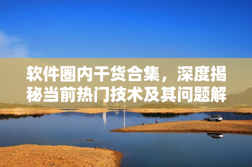 軟件圈內干貨合集，深度揭秘當前熱門技術及其問題解決方案