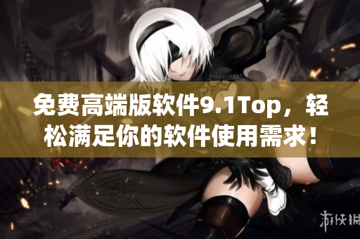 免費(fèi)高端版軟件9.1Top，輕松滿足你的軟件使用需求！