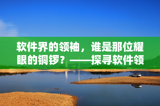 軟件界的領(lǐng)袖，誰是那位耀眼的銅鑼？——探尋軟件領(lǐng)域的頂尖人物