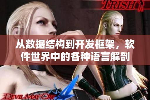 從數(shù)據(jù)結(jié)構(gòu)到開發(fā)框架，軟件世界中的各種語言解剖