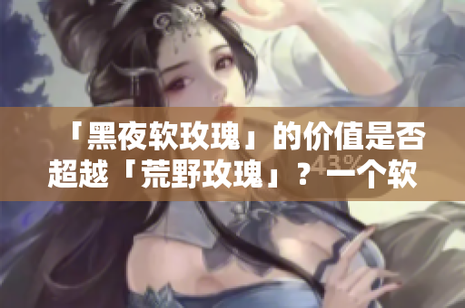 「黑夜軟玫瑰」的價(jià)值是否超越「荒野玫瑰」？一個(gè)軟件行業(yè)的比擬