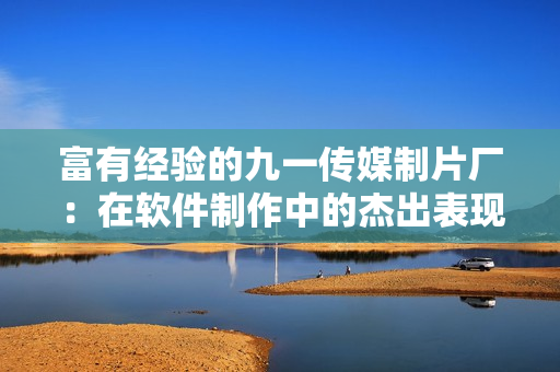 富有經驗的九一傳媒制片廠：在軟件制作中的杰出表現