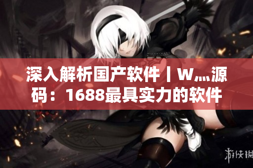 深入解析國產(chǎn)軟件丨W灬源碼：1688最具實(shí)力的軟件開發(fā)工具