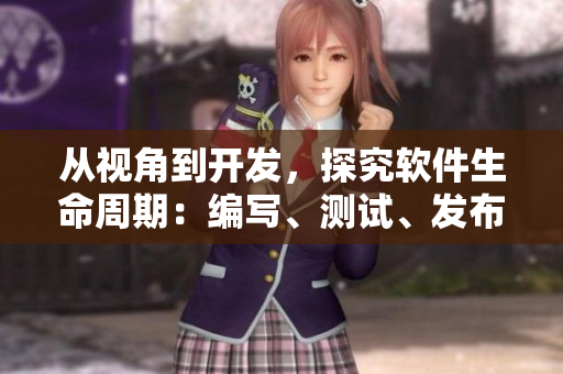 從視角到開發(fā)，探究軟件生命周期：編寫、測試、發(fā)布、維護、升級