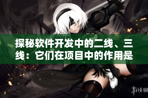 探秘軟件開發(fā)中的二線、三線：它們在項目中的作用是什么？