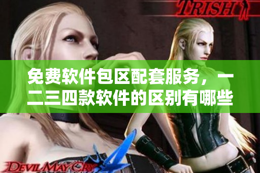 免費軟件包區(qū)配套服務(wù)，一二三四款軟件的區(qū)別有哪些？