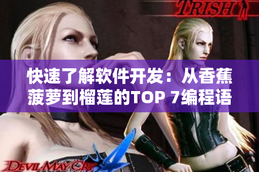 快速了解軟件開(kāi)發(fā)：從香蕉菠蘿到榴蓮的TOP 7編程語(yǔ)言及應(yīng)用場(chǎng)景