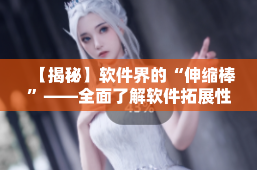 【揭秘】軟件界的“伸縮棒”——全面了解軟件拓展性的重要性與實(shí)踐方法！