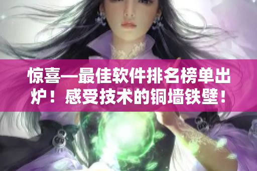 驚喜—最佳軟件排名榜單出爐！感受技術(shù)的銅墻鐵壁！