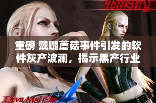 重磅 戴璐蘑菇事件引發(fā)的軟件灰產(chǎn)波瀾,揭示黑產(chǎn)行業(yè)深層次危機(jī)! 重磅 戴璐蘑菇事件引發(fā)的軟件灰產(chǎn)波瀾,揭示黑產(chǎn)行業(yè)深層次危機(jī)!