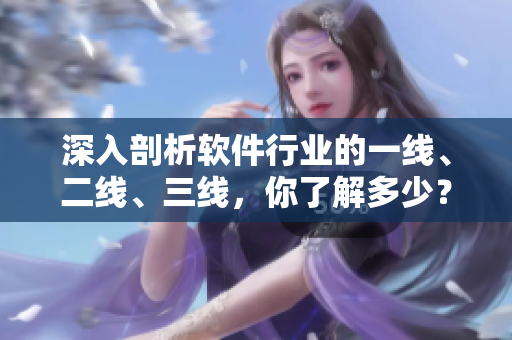 深入剖析軟件行業(yè)的一線、二線、三線，你了解多少？