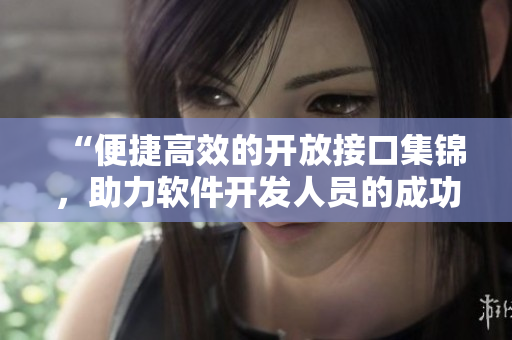 “便捷高效的開放接口集錦，助力軟件開發(fā)人員的成功之路”