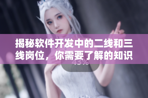 揭秘軟件開發(fā)中的二線和三線崗位，你需要了解的知識(shí)點(diǎn)