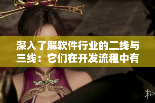 深入了解軟件行業(yè)的二線與三線：它們?cè)陂_(kāi)發(fā)流程中有何不同？