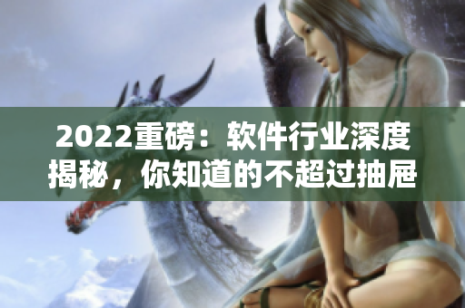2022重磅：軟件行業(yè)深度揭秘，你知道的不超過抽屜里的那些代碼！