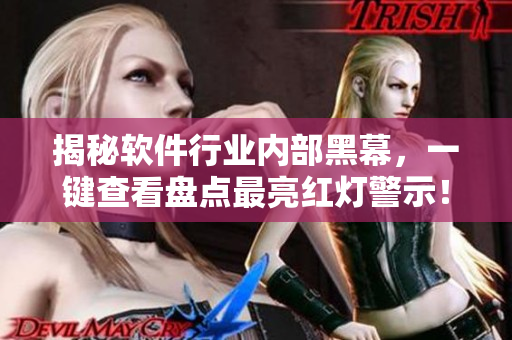 揭秘軟件行業(yè)內(nèi)部黑幕，一鍵查看盤點最亮紅燈警示！