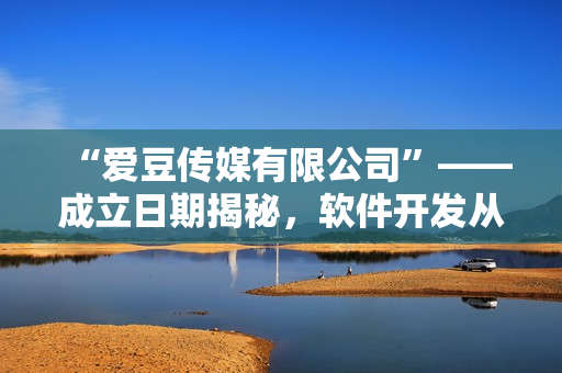 “愛豆傳媒有限公司”——成立日期揭秘，軟件開發(fā)從此引領潮流！