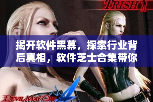 揭開軟件黑幕，探索行業(yè)背后真相，軟件芝士合集帶你深入了解軟件開發(fā)