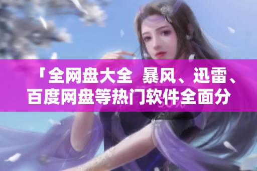 「全網(wǎng)盤大全  暴風、迅雷、百度網(wǎng)盤等熱門軟件全面分析」