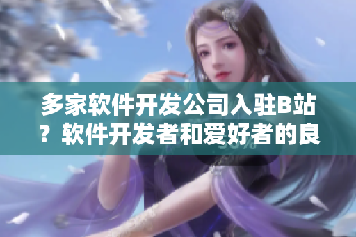多家軟件開發(fā)公司入駐B站？軟件開發(fā)者和愛好者的良好交流平臺(tái)！