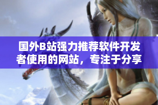 國外B站強(qiáng)力推薦軟件開發(fā)者使用的網(wǎng)站，專注于分享設(shè)計與開發(fā)經(jīng)驗(yàn)！