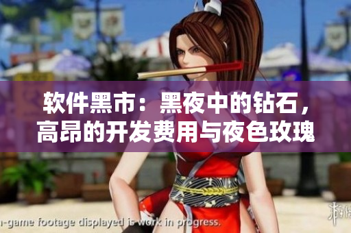 軟件黑市：黑夜中的鉆石，高昂的開發(fā)費(fèi)用與夜色玫瑰有何不同？