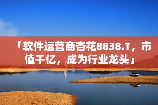 「軟件運營商杏花8838.T，市值千億，成為行業(yè)龍頭」