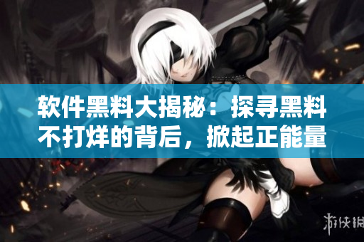 軟件黑料大揭秘：探尋黑料不打烊的背后，掀起正能量浪潮！