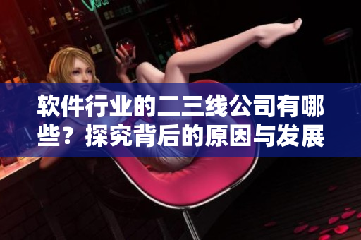 軟件行業(yè)的二三線公司有哪些？探究背后的原因與發(fā)展態(tài)勢