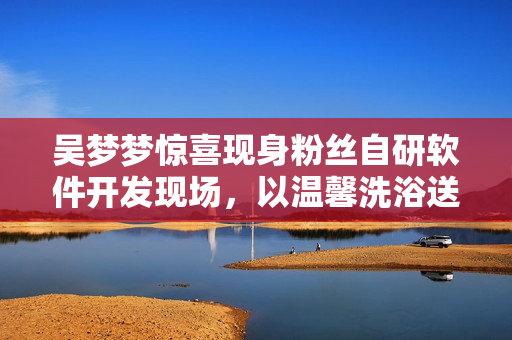 吳夢(mèng)夢(mèng)驚喜現(xiàn)身粉絲自研軟件開發(fā)現(xiàn)場(chǎng)，以溫馨洗浴送祝福！