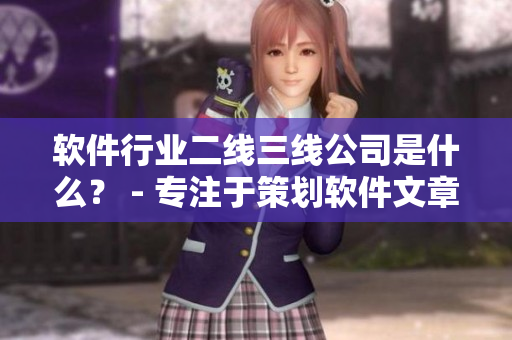 軟件行業(yè)二線三線公司是什么？ - 專注于策劃軟件文章的編輯