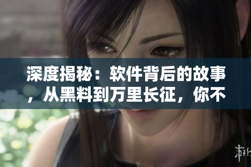 深度揭秘：軟件背后的故事，從黑料到萬里長征，你不得不看！