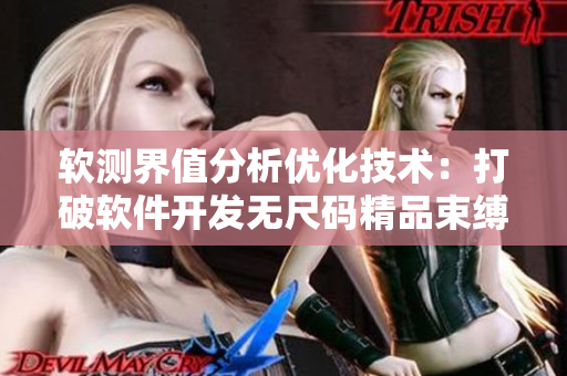 軟測界值分析優(yōu)化技術(shù)：打破軟件開發(fā)無尺碼精品束縛